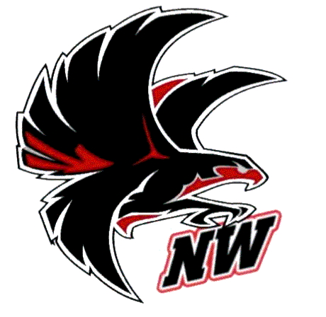 NW Falcon Logo