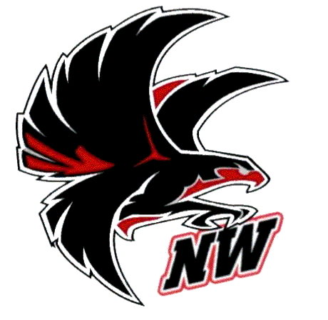 NW Falcon Logo NW Falcon Logo